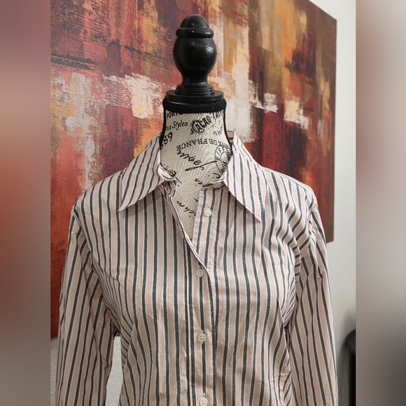 Lane Bryant Pink & Gray Hidden Button Down Tailored Shirt  Aspen Stripe Size 14 - Picture 2 of 5